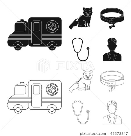 Collar, bone, cat, haircut .Vet Clinic set collection icons in black,outline style vector symbol Collar, bone, cat, haircut .Vet Clinic set collection icons in black,outline style vector symbol 43378847