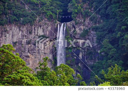 Kumano Nachi Taisha Nachi Otaki（和歌山縣東武郡Nachi Katsuura Town） 43378960