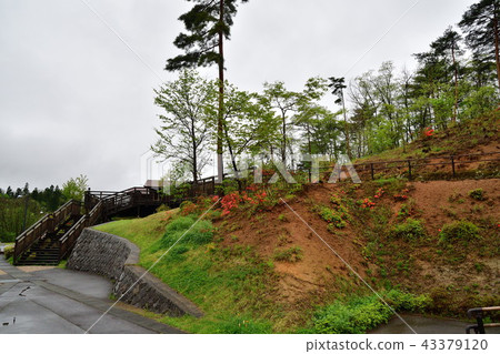 宮澤賢治兒童故事村(岩手縣) 宮澤賢治兒童故事村(岩手縣) 43379120