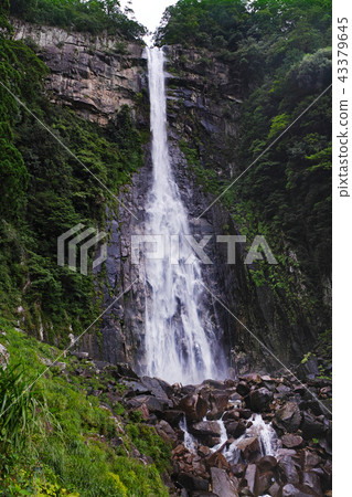 [World Heritage-Wakayama Prefecture] Nachi Falls (Nachi Otaki) 43379645