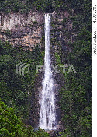 [世界遺產 - 和歌山縣] Nachi Falls（Nachi Otaki）遠景 43379709