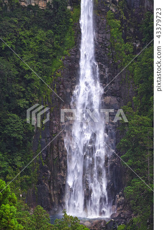 [世界遺產 - 和歌山縣] Nachi的瀑布（Nachi的Otaki）Takishima遙遠的視野 43379723