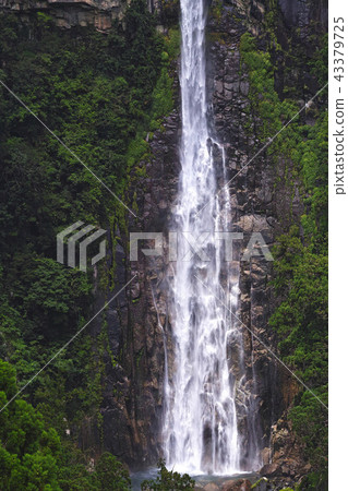 [World Heritage-Wakayama Prefecture] Nachi's waterfall (Nachi's Otaki) Takishima distant vision 43379725