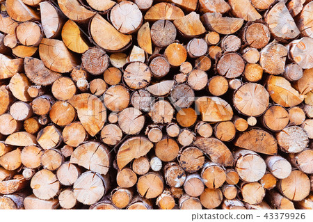 Macro view of wooden tree trunks 43379926