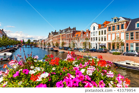 Old Town of Haarlem, Netherlands Old Town of Haarlem, Netherlands 43379954