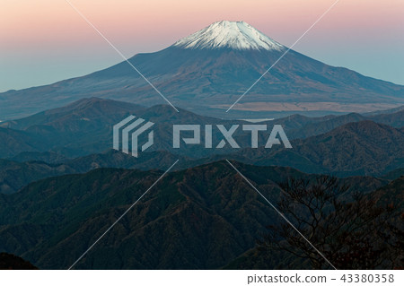 Fuji of dawn seen from Tanzawa · Hinoko-maru 43380358