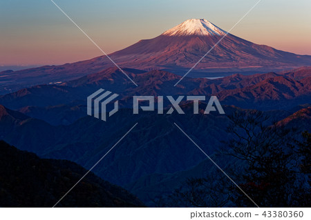 從Tanzawa·Hinoko-maru看到的黎明的富士 從Tanzawa·Hinoko-maru看到的黎明的富士 43380360