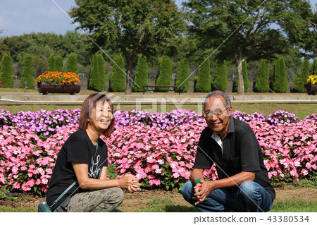 Senior couple laughing at flower field Senior couple laughing at flower field 43380534