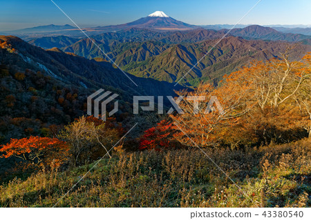 白雪覆蓋的富士山和從Tanzawa-Koto-Don-Maru山口看到的彩色山脈 43380540