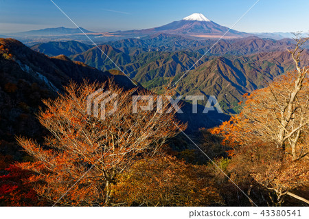 白雪覆蓋的富士山和從Tanzawa-Koto-Don-Maru山口看到的彩色山脈 43380541