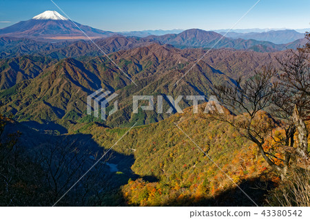 白雪覆蓋的富士山和從Tanzawa-Koto-Don-Maru山口看到的彩色山脈 白雪覆蓋的富士山和從Tanzawa-Koto-Don-Maru山口看到的彩色山脈 43380542