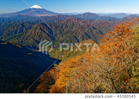白雪覆蓋的富士山和從Tanzawa-Koto-Don-Maru山口看到的彩色山脈 白雪覆蓋的富士山和從Tanzawa-Koto-Don-Maru山口看到的彩色山脈 43380543