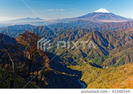 白雪覆蓋的富士山和從Tanzawa-Koto-Don-Maru山口看到的彩色山脈 白雪覆蓋的富士山和從Tanzawa-Koto-Don-Maru山口看到的彩色山脈 43380544
