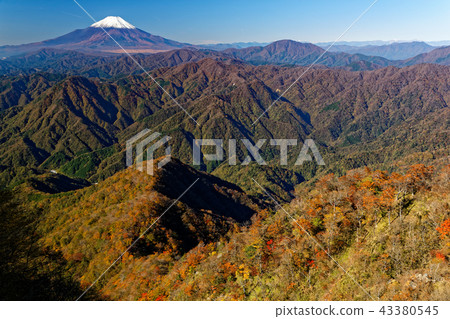 白雪覆蓋的富士山和從Tanzawa-Koto-Don-Maru山口看到的彩色山脈 白雪覆蓋的富士山和從Tanzawa-Koto-Don-Maru山口看到的彩色山脈 43380545