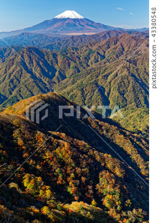 白雪覆蓋的富士山和從Tanzawa-Koto-Don-Maru山口看到的彩色山脈 43380548