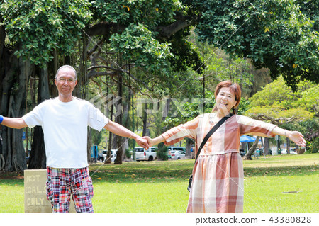 握在國外旅行的資深夫婦手 握在國外旅行的資深夫婦手 43380828