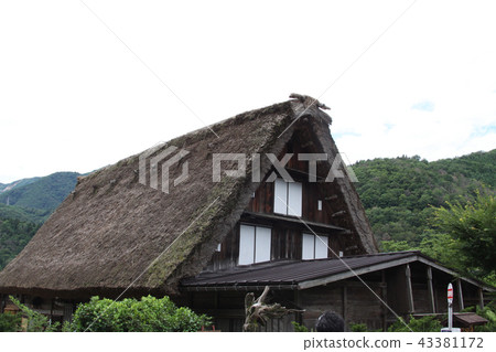 Shirakawago summer Shirakawago summer 43381172