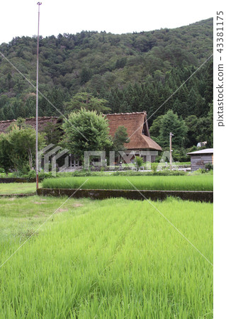 Shirakawago summer Shirakawago summer 43381175