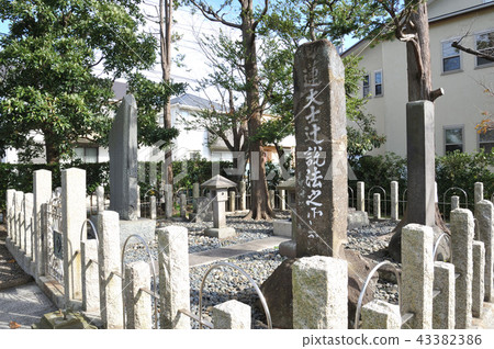 Kamakura Nichiren Kamisuji Tsujikimo Trace Kamakura Nichiren Kamisuji Tsujikimo Trace 43382386