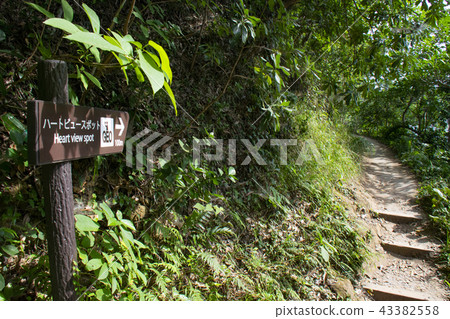 Heart View Spot Ryugu Cave 43382558