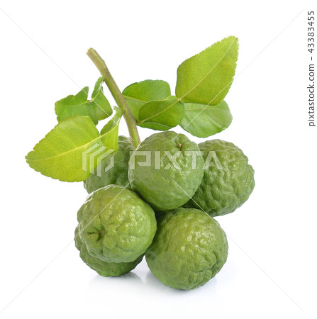 Kaffir lime on white background Kaffir lime on white background 43383455
