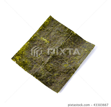 seaweed on white background 43383667