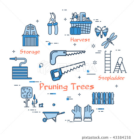 06 Blue GARDENING - Pruning Trees 06 Blue GARDENING - Pruning Trees 43384158