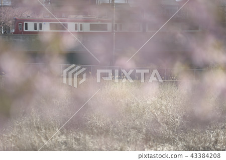 Keikyu Keikyu 43384208