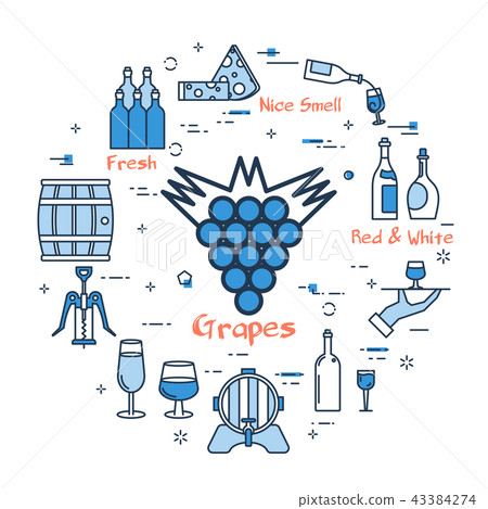 Blue round Grapes concept 43384274