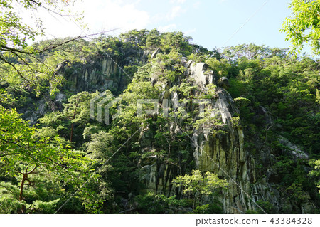 Shinkyō峽谷 43384328