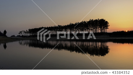 Taean-gun Anmyeondo位於Sungbu的海灘上 43384352