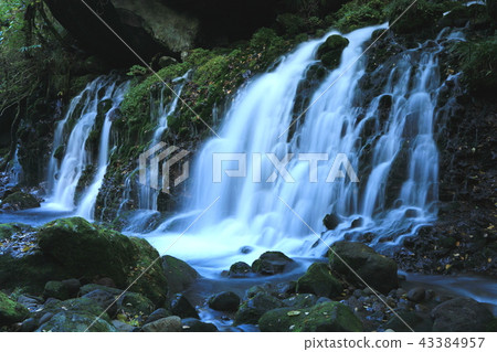 Mototaki Mototaki 43384957