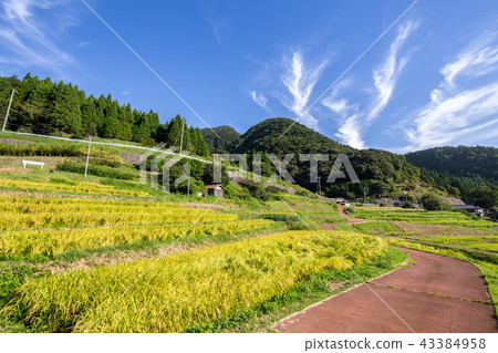 Tanada的一天 43384958