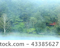 Goddess lake in the early morning 43385627