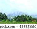 A view from the goddess lake in the early morning 43385660