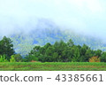 A view from the goddess lake in the early morning 43385661