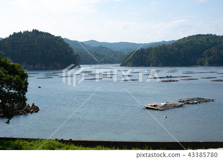 唐津半島 唐津半島 43385780