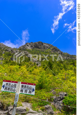 仰望赤石山和燒崎山(愛媛縣新居濱市別山山)*照片位於註釋部分 仰望赤石山和燒崎山(愛媛縣新居濱市別山山)*照片位於註釋部分 43385899