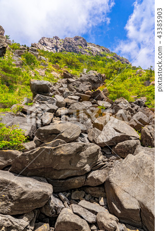 Mountain trail leading to Mt. Akaishi and Mt. Yakimaki (Beshikoyama, Niihama City, Ehime Prefecture) 43385903
