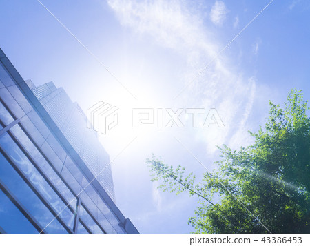 天空和摩天大樓 43386453