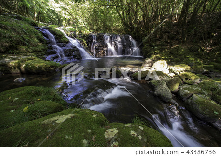 scenery scenery 43386736