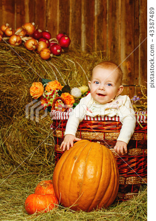 Girl and halloween pumpkins Girl and halloween pumpkins 43387489