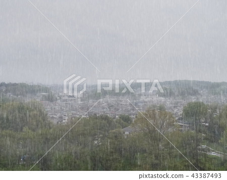 雨 43387493
