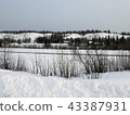 Canada Whitehorse 43387931