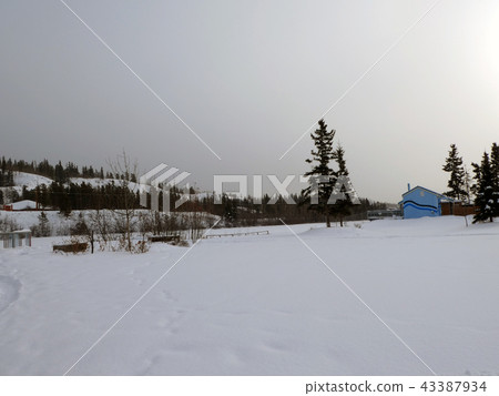 Canada Whitehorse 43387934