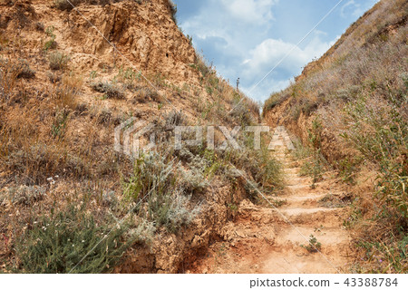 coastline, beautiful landscape near the sea 43388784
