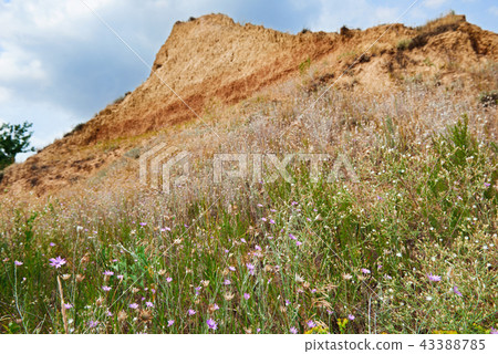 coastline, beautiful landscape near the sea 43388785