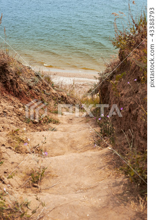 coastline, beautiful landscape near the sea 43388793