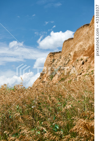 coastline, beautiful landscape near the sea 43388837