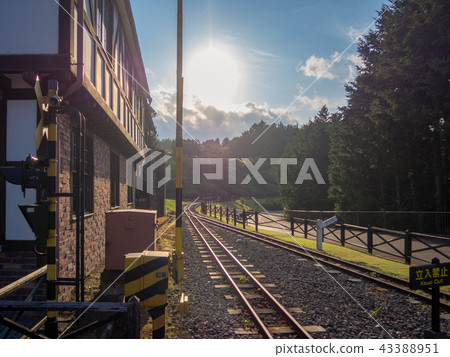 [伊豆]遊覽區的主題公園的風景[修善寺彩虹鄉·羅姆尼鐵路] 43388951